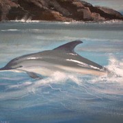 Picture_181_card