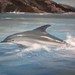 Picture_181_square