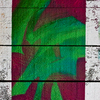Mind_thumb