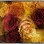 3_snapseed_card