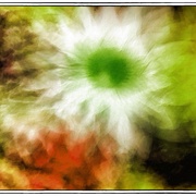 5_snapseed_card