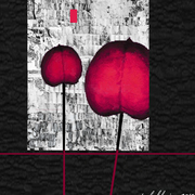 Applesonice_card