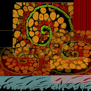 Snailtrails_card
