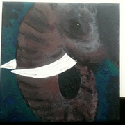 Photo__11__card