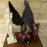 Picture_145_card