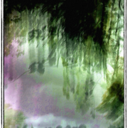 A_hanging_card