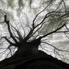 20_thumb