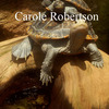 Youandmebycarolerobertson_thumb