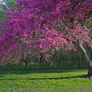 Img_5834-pse-web_card