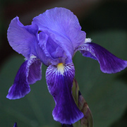 071040612a_card