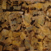 Dsc01320_thumb