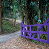Purple_gate_thumb