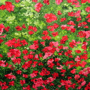 Redbud_card