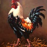 Petao-gospodar_dvori_ta_card
