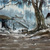 __riverside___2_tiny_square