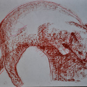 Dsc_0539_copia_card