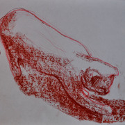 Dsc_0551_copia_card