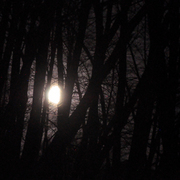 Moon_beams_card