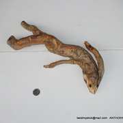 Dsc04379_card