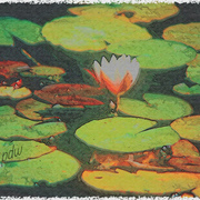 Pond_card
