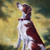 Patches_stevens_copyright_thumb