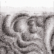 12699655688088_card