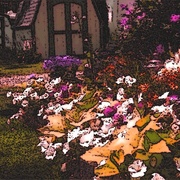 Digital_garden_card