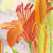 Lily_card