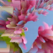 037_copy_card