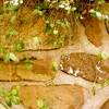 Dsc05154_thumb