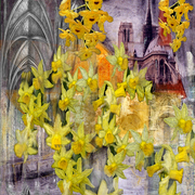Yellow_flowers_catedral_card
