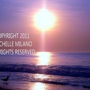 Lbi8sample_card