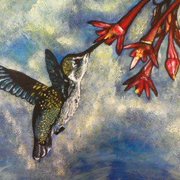 Humming_bird_card