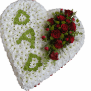 Product_18237977