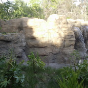 February_2012_chuckie_cheese__and_zoo_099_card