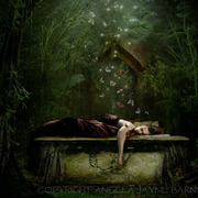 Sleeps_with_butterflies_finished_a3_longest_side_card
