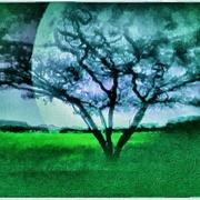 Greenworld_card
