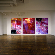 Exhibition_magenta_card