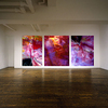 Exhibition_magenta_thumb