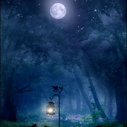 The_witches_cats_full_version_5x7_card