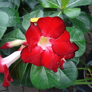 Dsc05699_card