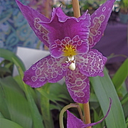 Dsc05703_card