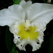 Dsc05704_card