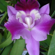 Dsc05705_card