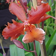 Dsc05710_card