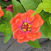 Dsc05714_card