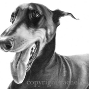 Happy_jack_copyright_card