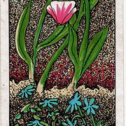 Scan_4_card