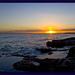 _mg_5566_square