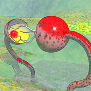 Flowerl23_card